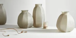 Vasi><noscript><img width=