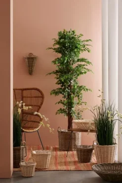 Ceste Decorative><noscript><img width=